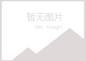 白玉县冰夏化学有限公司